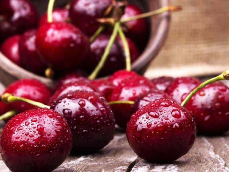 Вишня купить саженцы из питомника в Каменск-Уральском